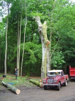 2012-06-09 010